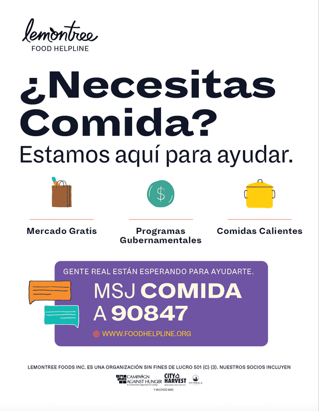 Lemontree Flyer in Spanish