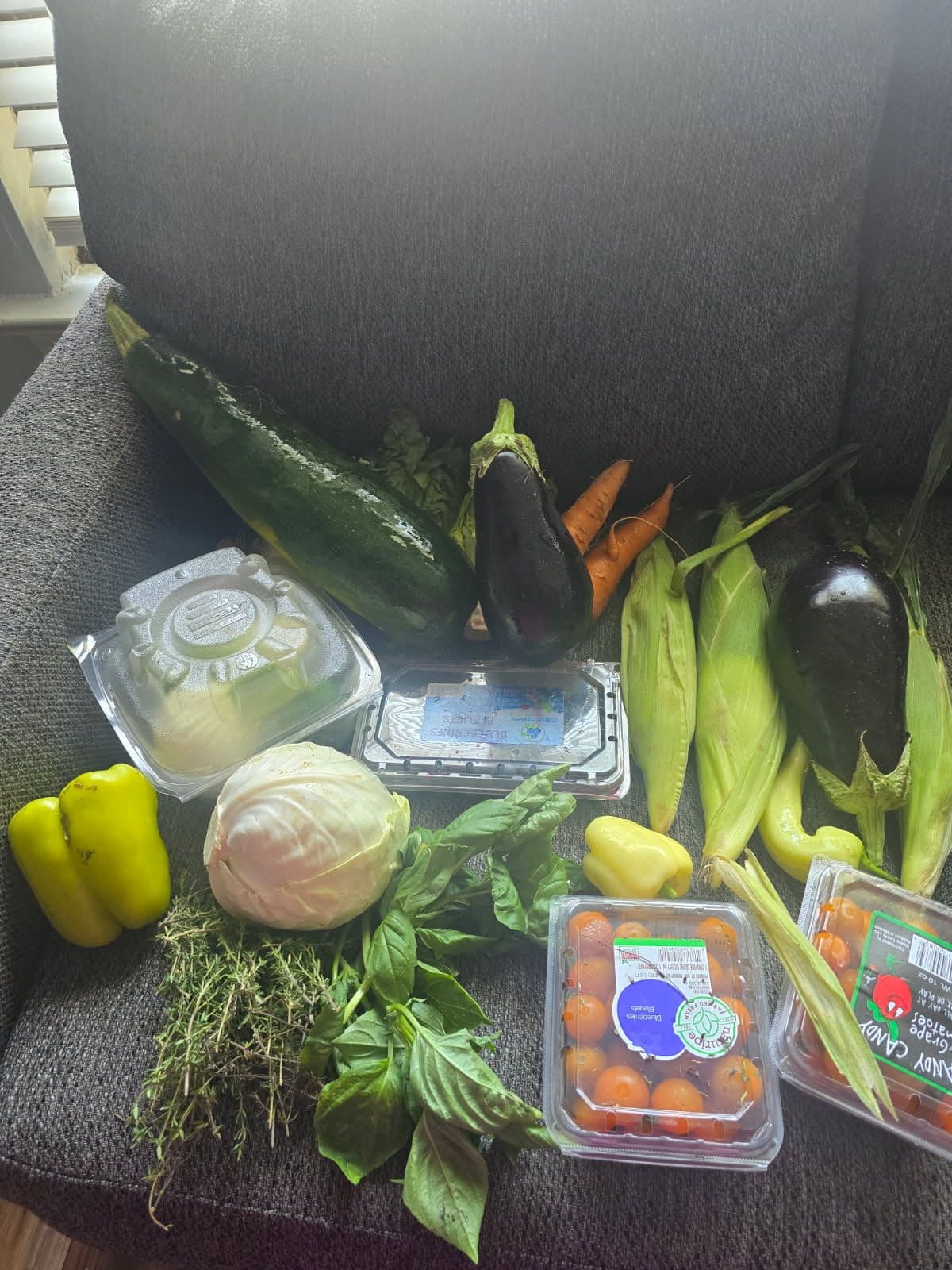 Feed item photo
