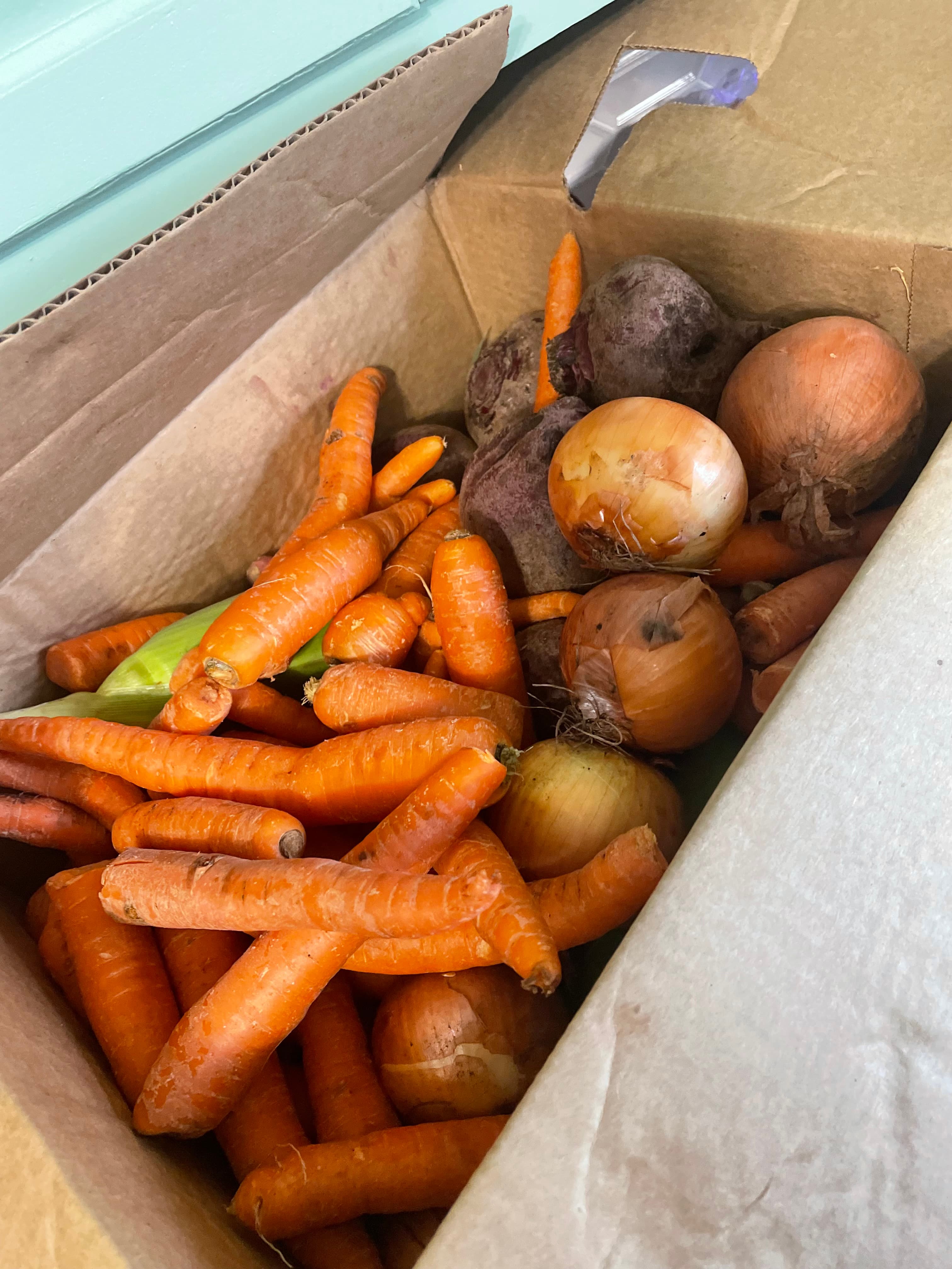 Feed item photo