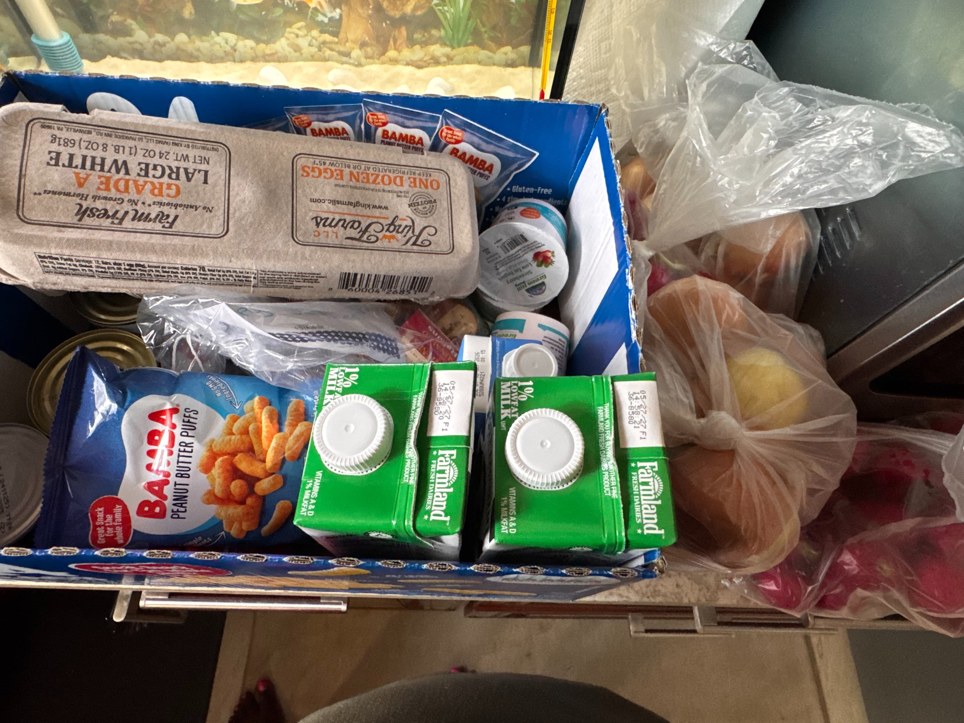 Feed item photo