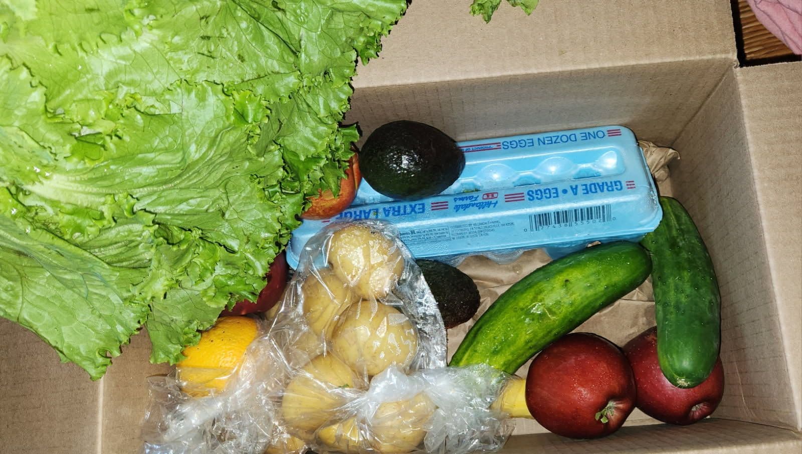 Feed item photo