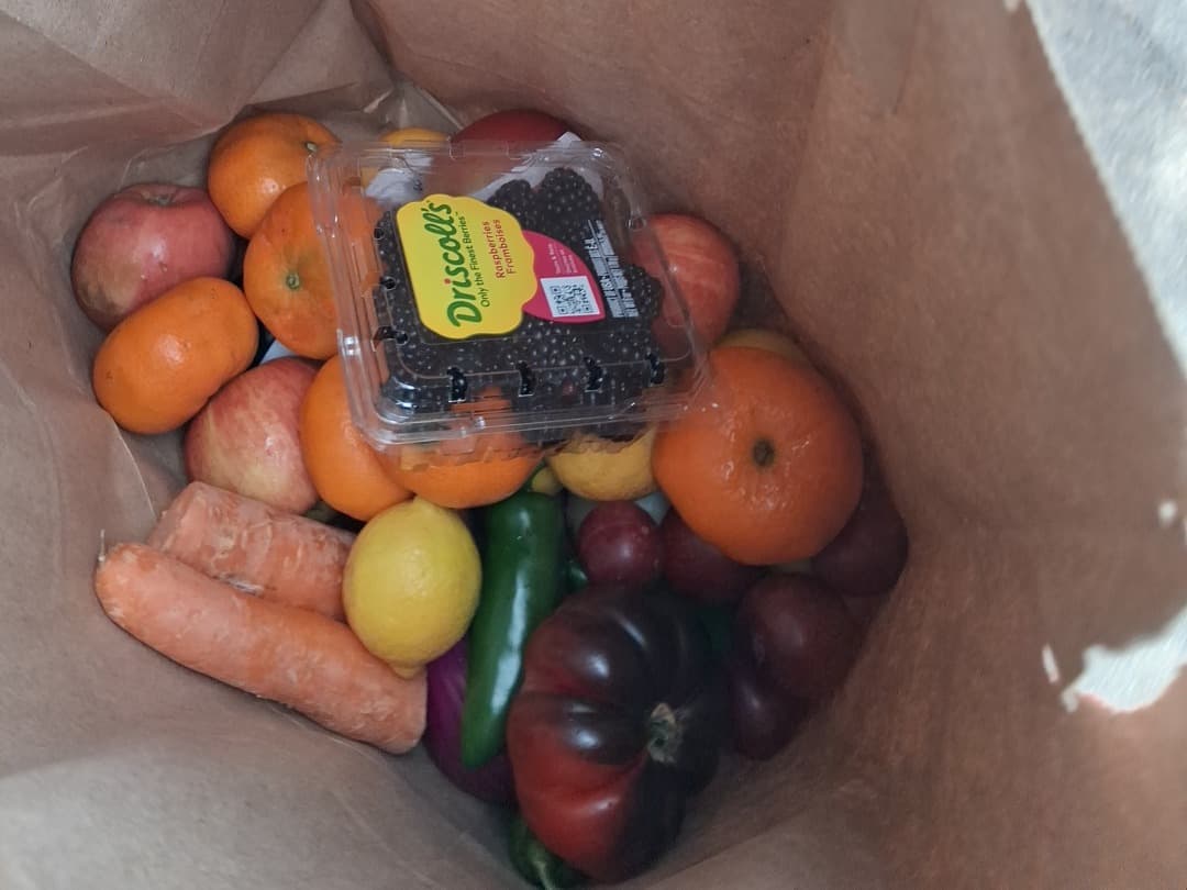 Feed item photo